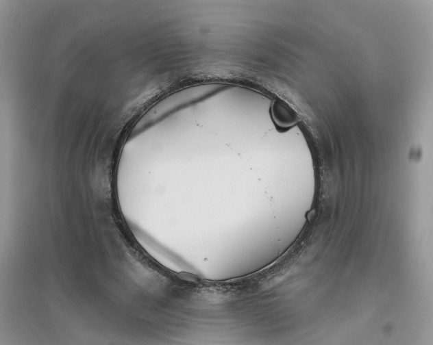 X0000096170489200802011322