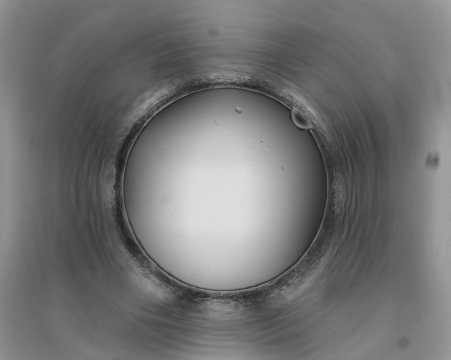 X0000096170490200802011322