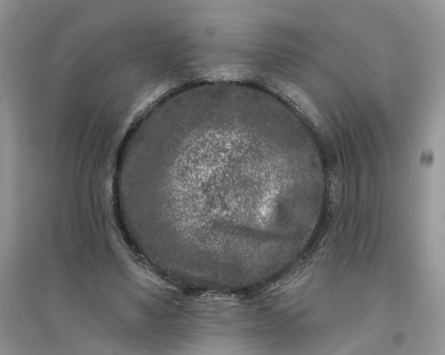 X0000096170491200802011322