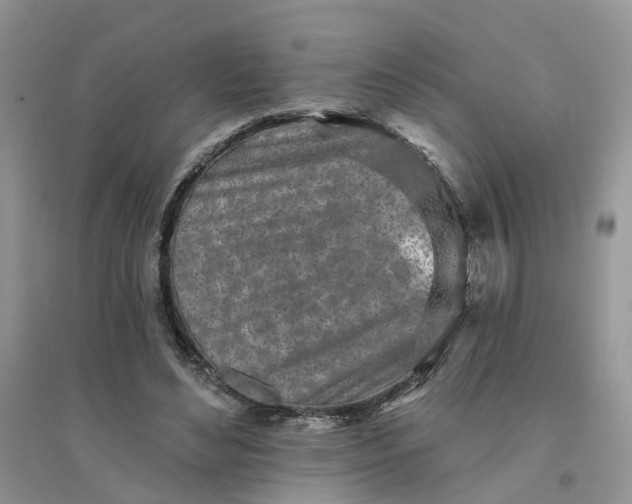 X0000096170492200802011322