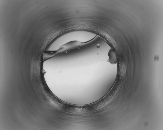 X0000096170493200802011322