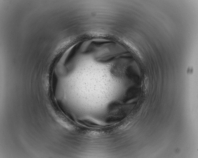 X0000096170494200802011322