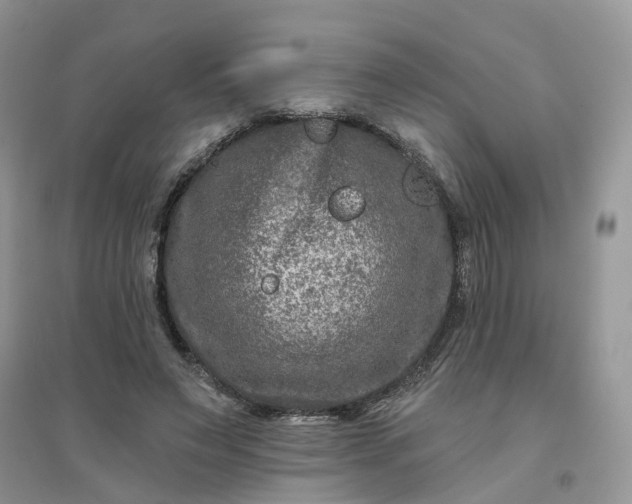 X0000096170495200802011322