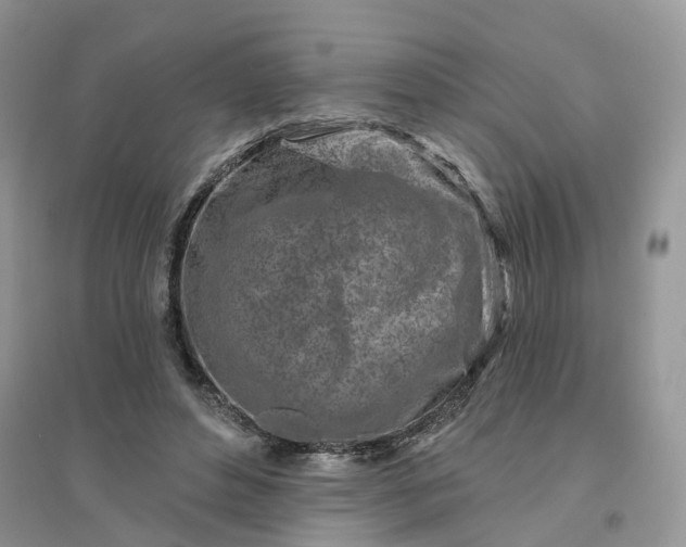 X0000096170496200802011322