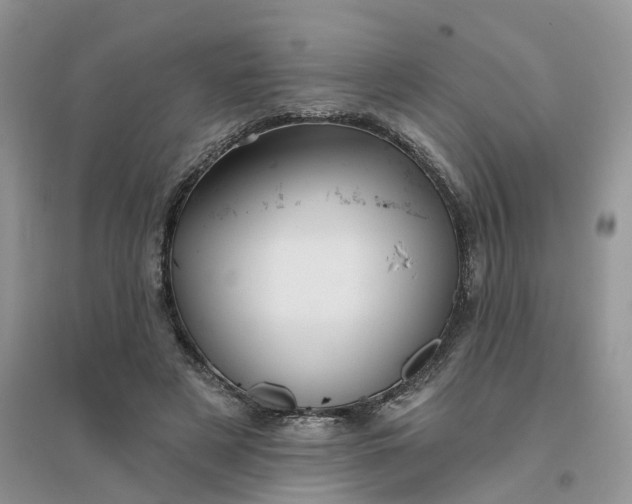 X0000096170497200802011322