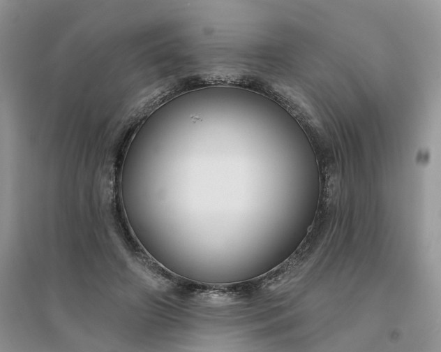 X0000096170498200802011322