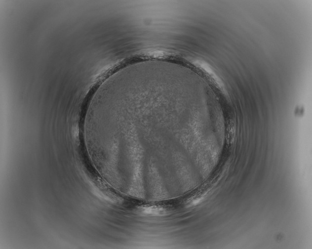 X0000096170500200802011322