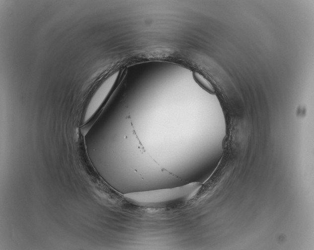 X0000096170501200802011322