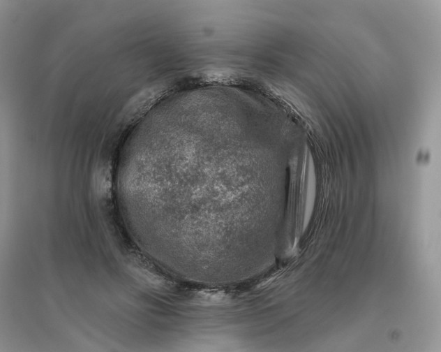 X0000096170502200802011321