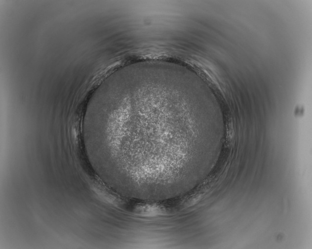 X0000096170503200802011321