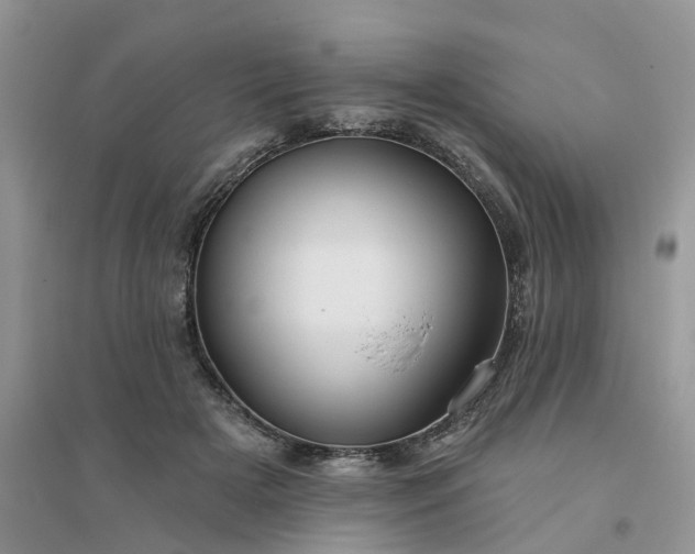 X0000096170505200802011321