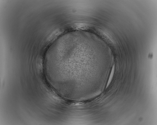 X0000096170506200802011321