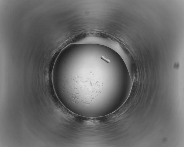 X0000096170508200802011321