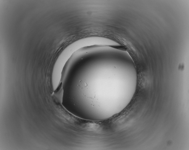 X0000096170509200802011321