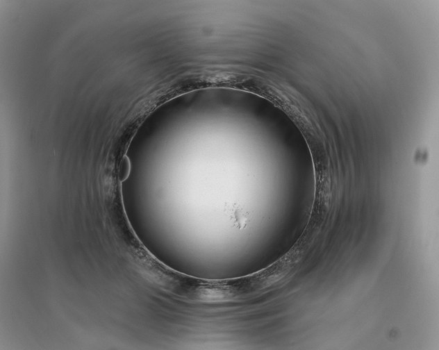 X0000096170510200802011321