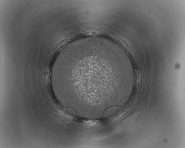 X0000096170511200802011321