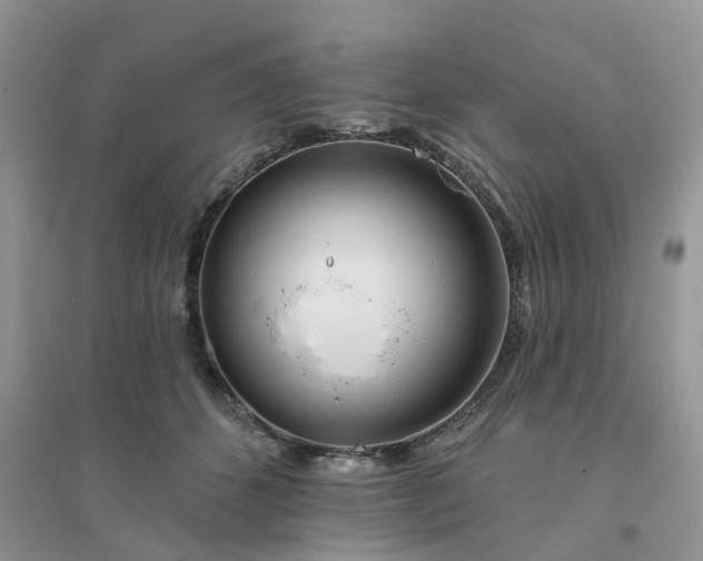 X0000096170512200802011321