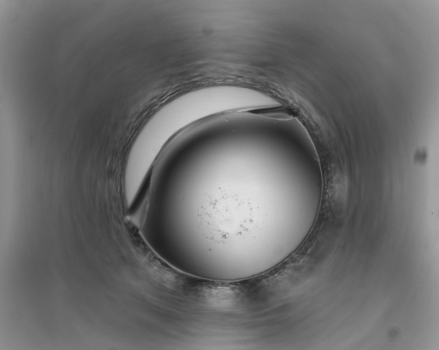 X0000096170513200802011321