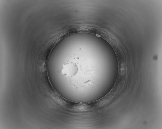 X0000096170514200802011321