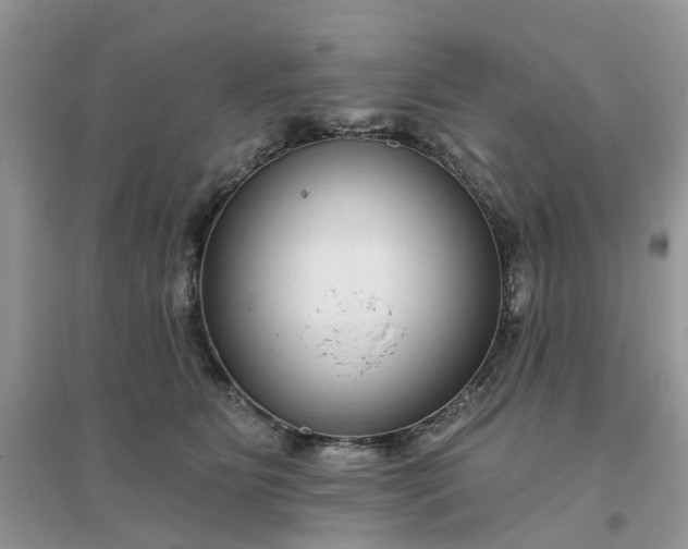 X0000096170515200802011321