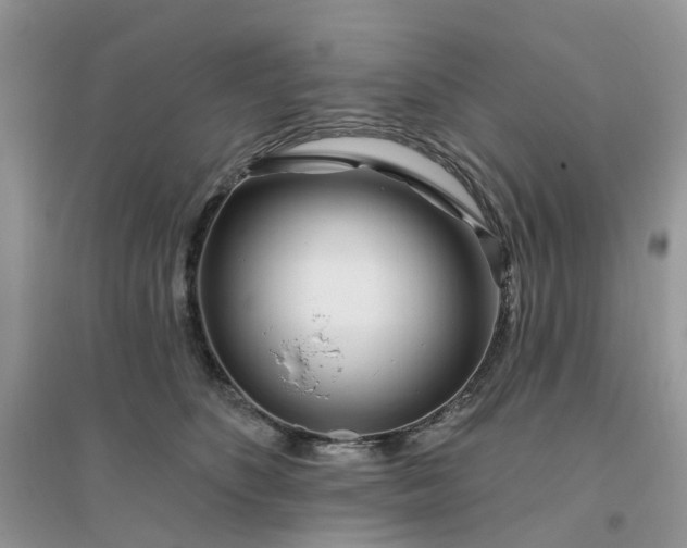 X0000096170516200802011321