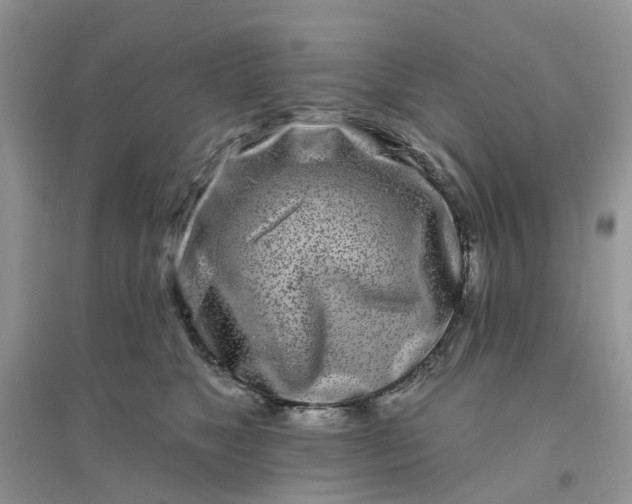 X0000096170517200802011321