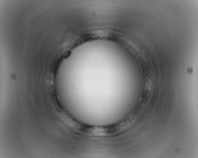 X0000096170518200802011321