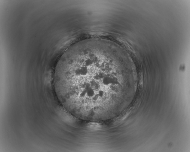 X0000096170519200802011321