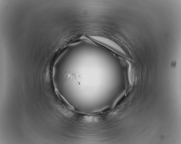 X0000096170520200802011321