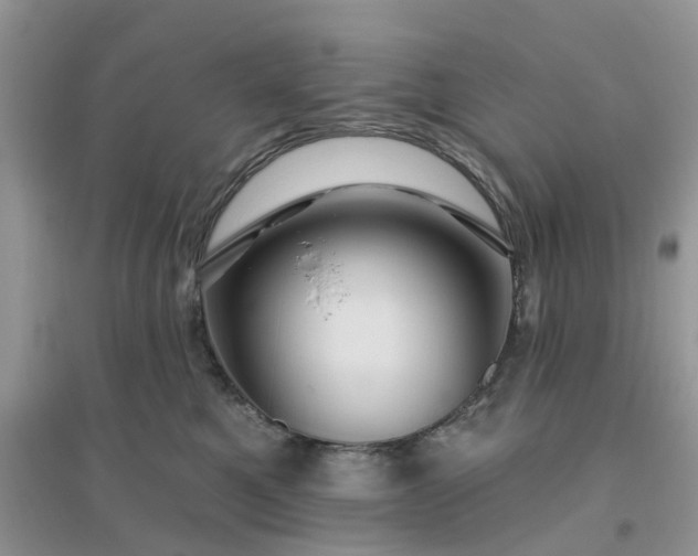 X0000096170521200802011321