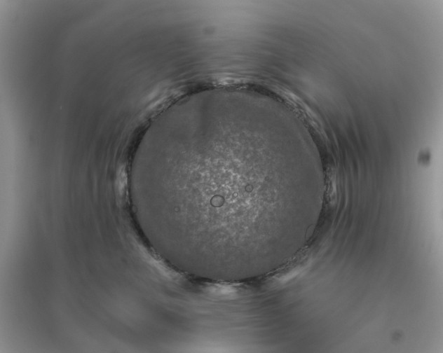 X0000096170523200802011321