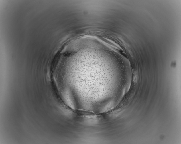 X0000096170524200802011321