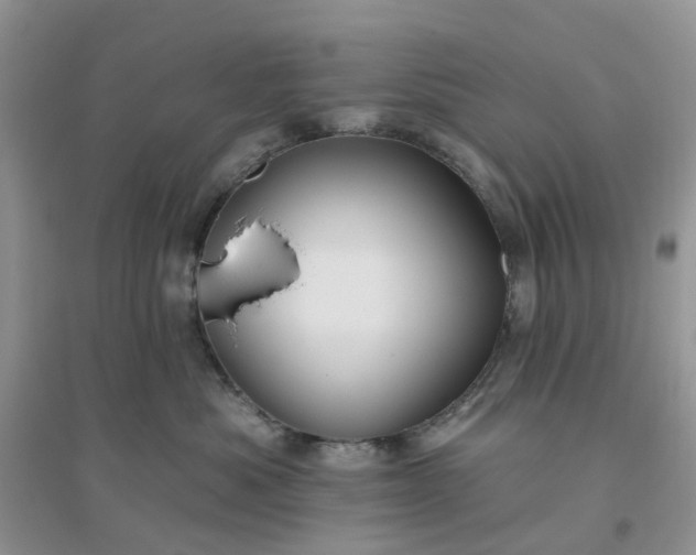 X0000096170525200802011321