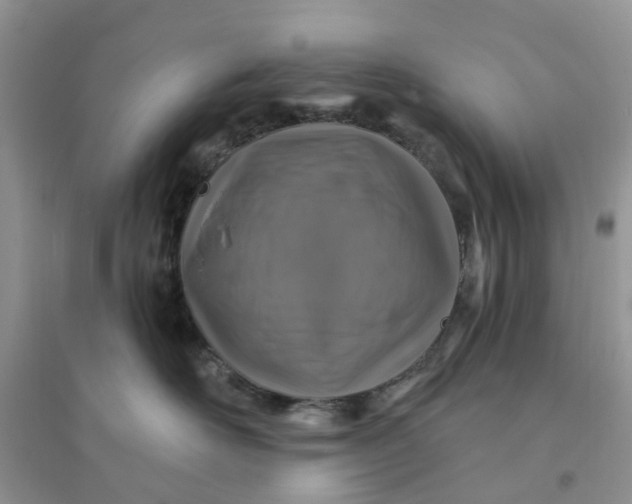 X0000096170526200802011321