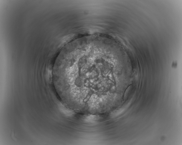 X0000096170527200802011321