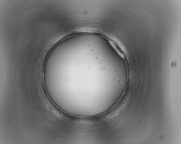 X0000096170529200802011320