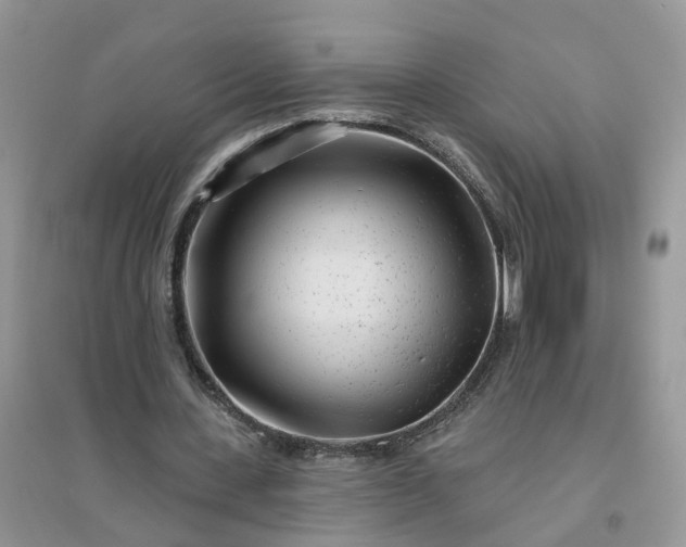 X0000096170531200802011320