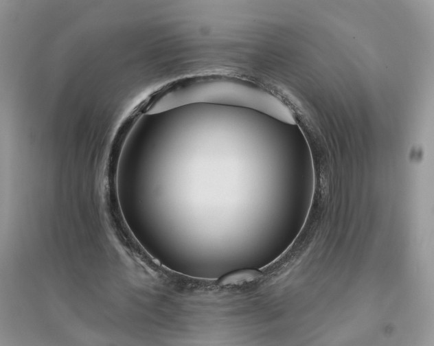 X0000096170532200802011321