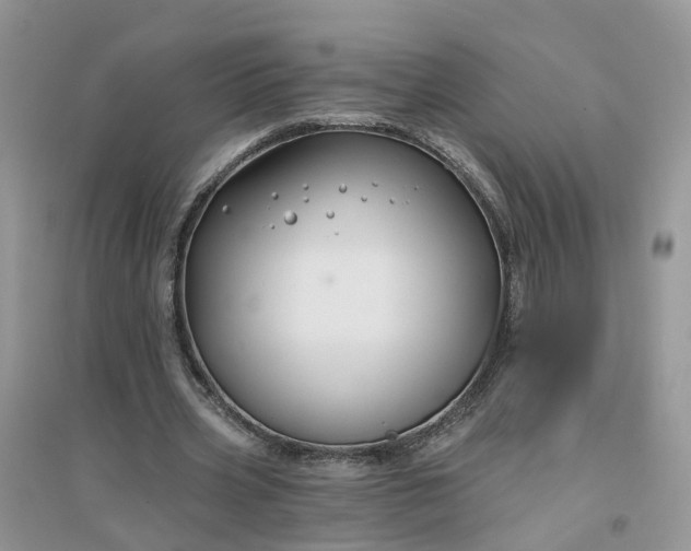 X0000096170533200802011321