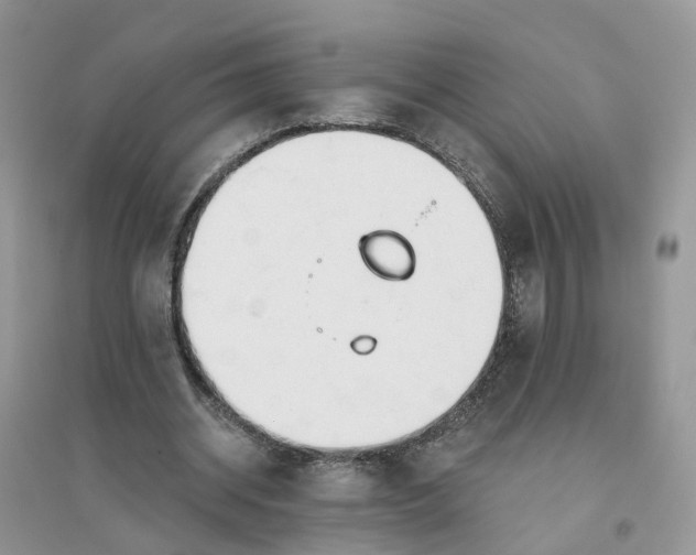 X0000096170534200802011321