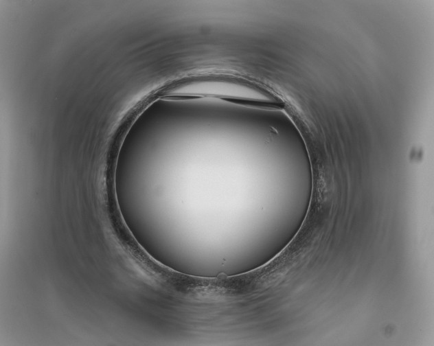 X0000096170535200802011321