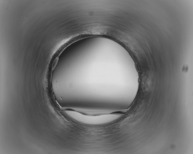 X0000096170536200802011321