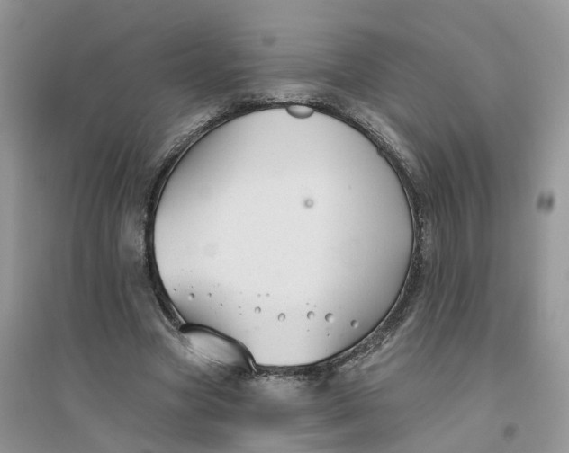 X0000096170537200802011321