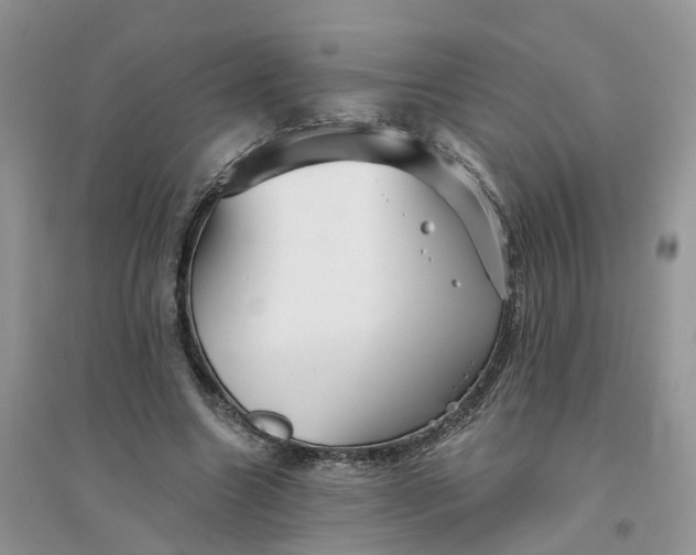 X0000096170538200802011321