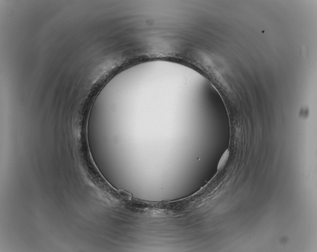 X0000096170539200802011321