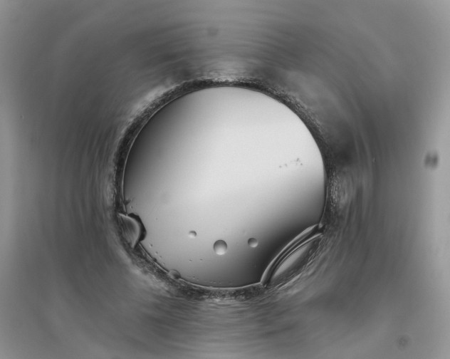 X0000096170540200802011321