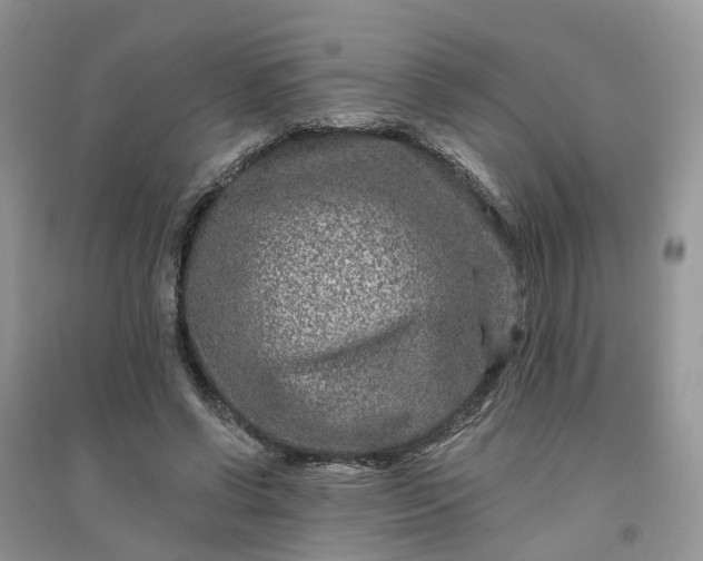 X0000096170542200802011321