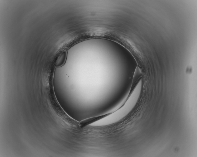 X0000096170543200802011321