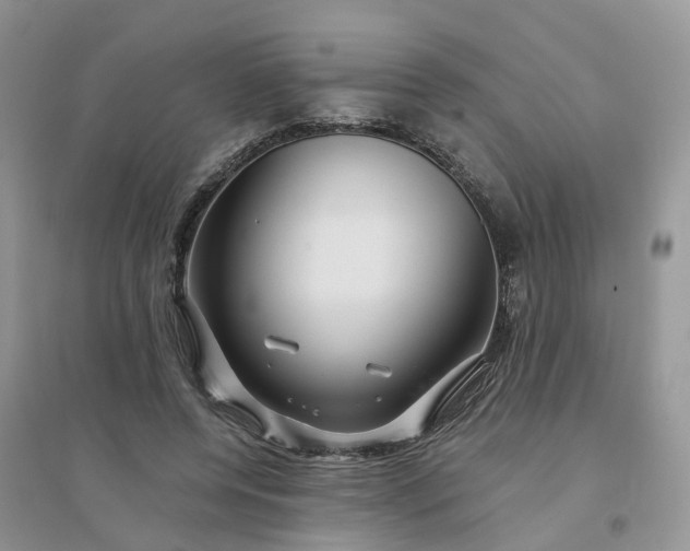 X0000096170544200802011321