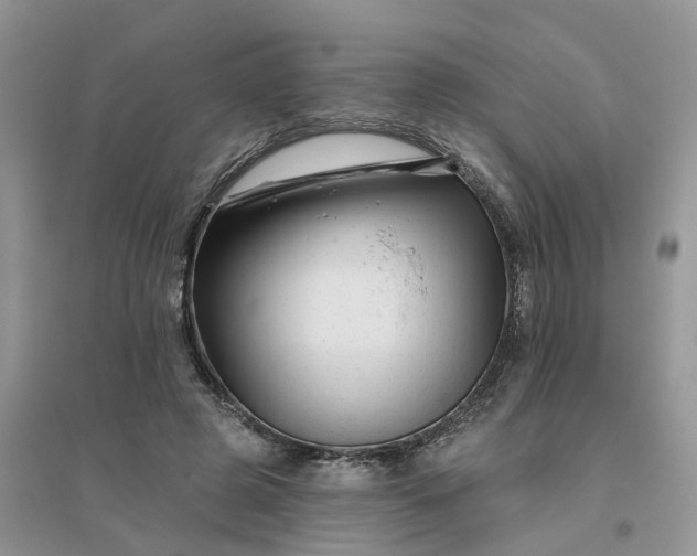 X0000096170545200802011321